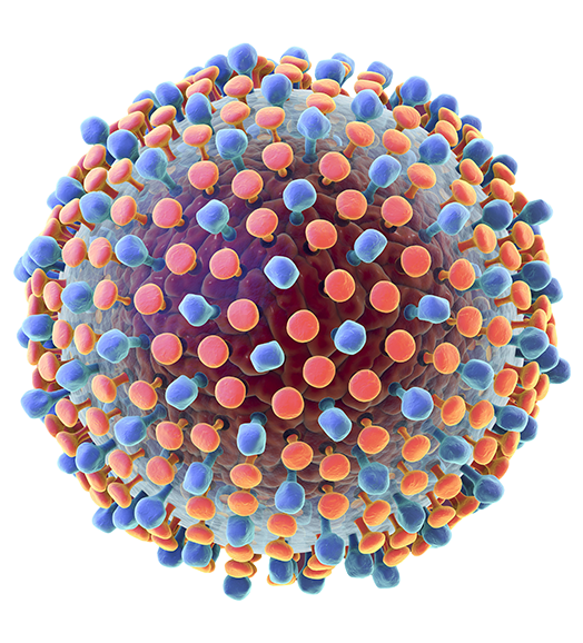 PG2816-PJT10752-COL025157-GTS-HepC-cellonly Hepatitis C virus cell