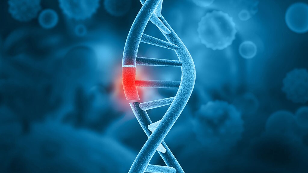 Decorative image Decorative image