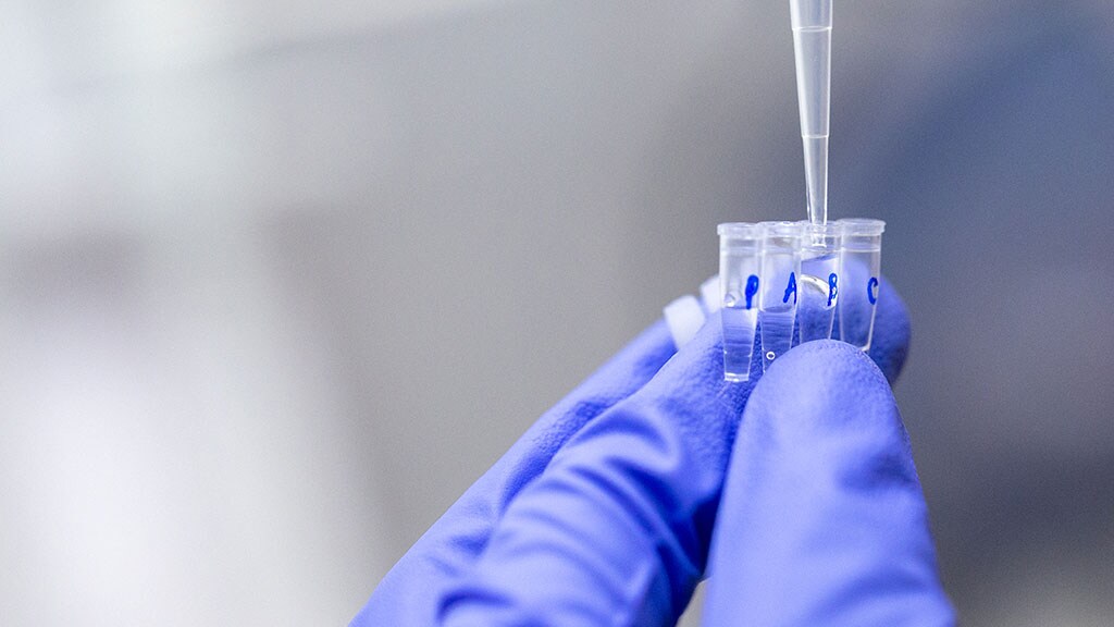 Decorative image Decorative image