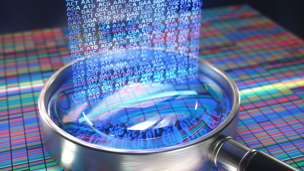 Decorative image Decorative image