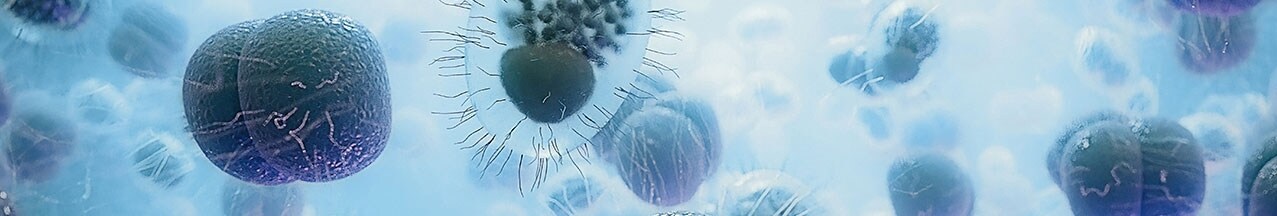 sti-banner sti-banner