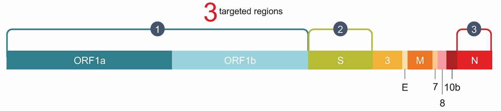 3-targeted-regions 3-targeted-regions