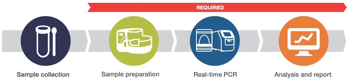 COL113978-TaqPath-COVID-19-Combo-Kit-Workflow copy COL113978-TaqPath-COVID-19-Combo-Kit-Workflow copy