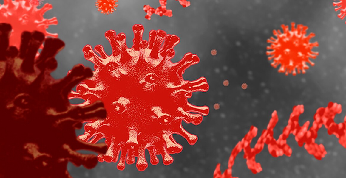 WebinarCard1 WebinarCard1