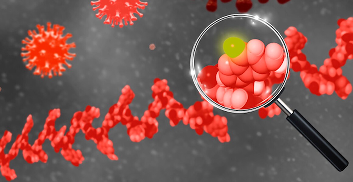 WebinarCard2 WebinarCard2