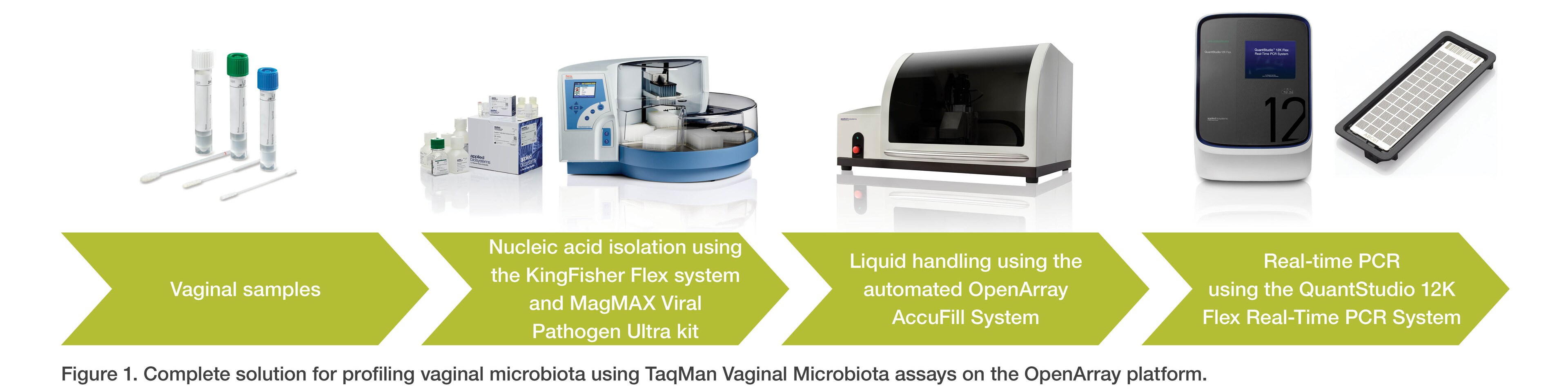 Scalable qPCR Workflow Scalable qPCR Workflow