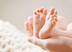 婴儿脚 婴儿脚