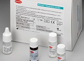 Immunofluorescence Identification Immunofluorescence Identification