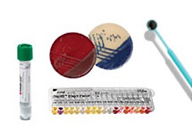 Manual Microbiology Manual Microbiology