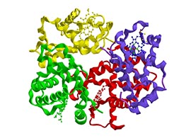 LC-MS for Proteomics LC-MS for Proteomics