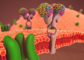 LC-MS for Lipidomics LC-MS for Lipidomics