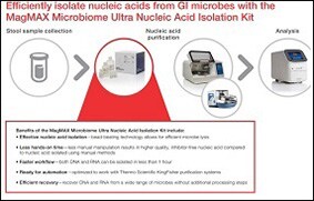 Isolation of gastrointestinal (GI) microbes MagMAX Microbiome provides high yielding nucleic acids from gastrointestinal samples