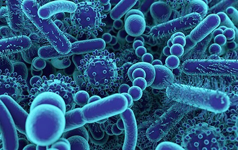 Various virtual rendering of microbes Gastrointestinal and respiratory microbes virtual rendering