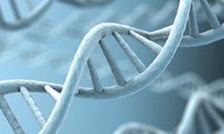 showcase.par.78376.image.0.0.1 showcase.par.78376.image.0.0.1