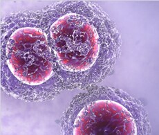 Protein Biomarker Discovery & Validation Protein Biomarker Discovery & Validation