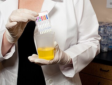 urine-drug-testing-point-of-care-poc-tests urine-drug-testing-point-of-care-poc-tests