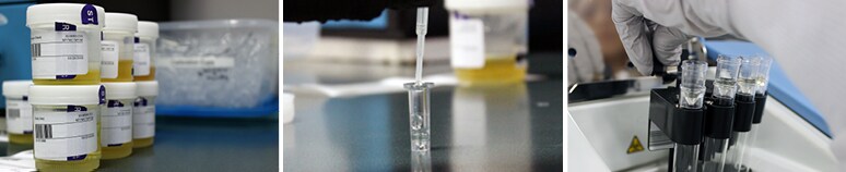 Drugs of Abuse Testing Educational Resources Drugs of Abuse Testing Educational Resources