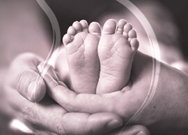 ivf-showcase ivf-showcase