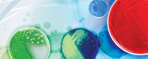 A collection of colorful media plates A collection of colorful media plates