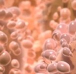 precision-med-adoption precision-med-adoption