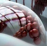 pharmacogenomics-improves-health pharmacogenomics-improves-health