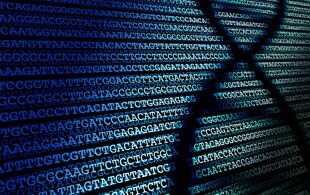 sequencing-310 sequencing-310