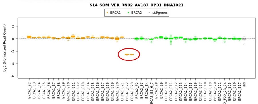BRCA-Figure-4-Chart BRCA-Figure-4-Chart