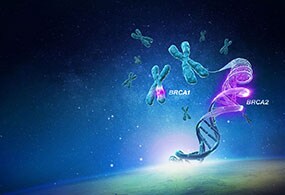 Oncomine-Comp-Assay-Plus-shwocase3 Oncomine-Comp-Assay-Plus-shwocase3