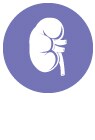 Kidney_icon Kidney_icon