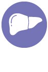 Liver_icon Liver_icon