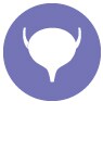 Bladder_icon Bladder_icon