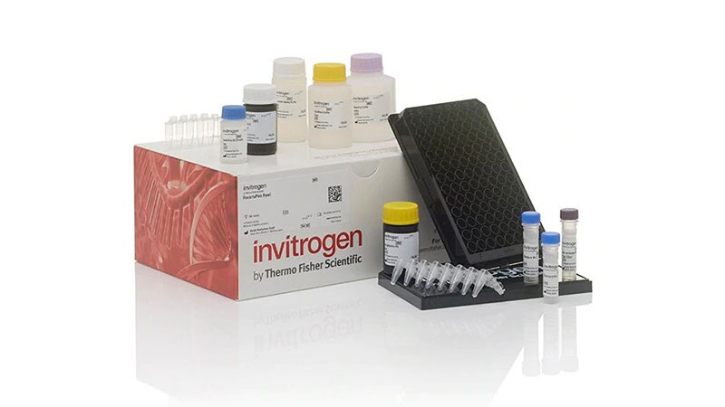 ProcartaPlex Assay kit ProcartaPlex Assay kit