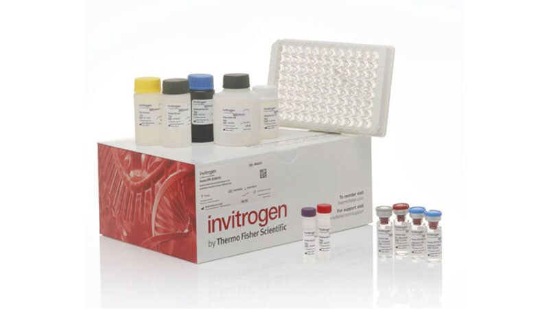 ELISA assay kit ELISA assay kit