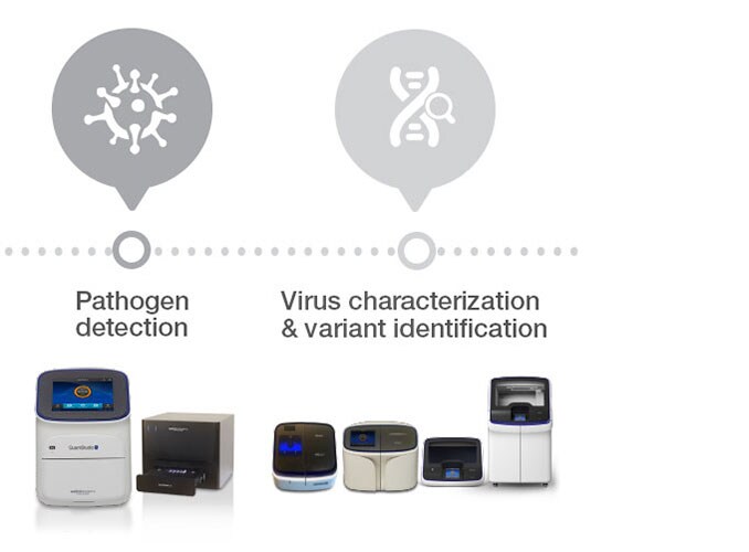 Second half of workflow Pathogen detection, and virus characterization and variant detection