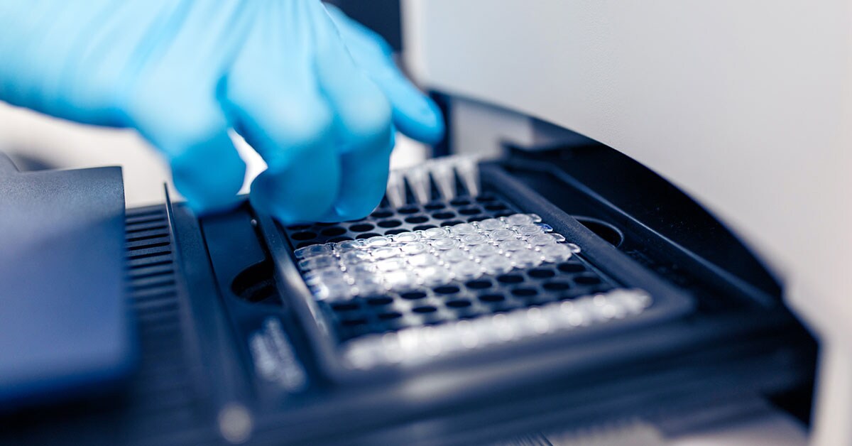 Loading PCR samples into thermal cycler PCR samples being loaded into a thermocycler
