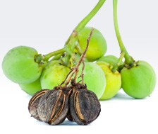 story-guat story-guat