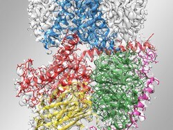 生命科学学习中心 生命科学学习中心