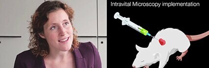 Amira-Software-EMBL Amira-Software-EMBL