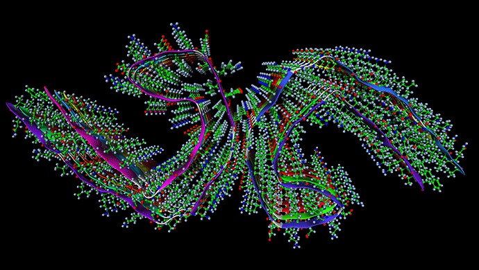 Paired Helical Filaments (PHF) Paired Helical Filaments (PHF)