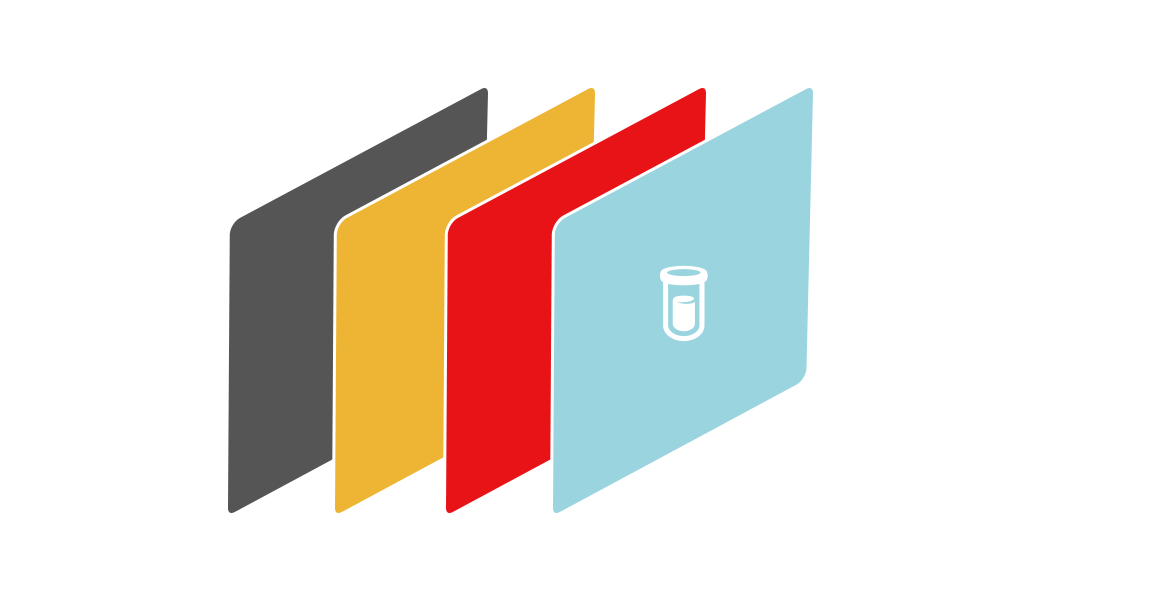 Automation Amira Software workflow