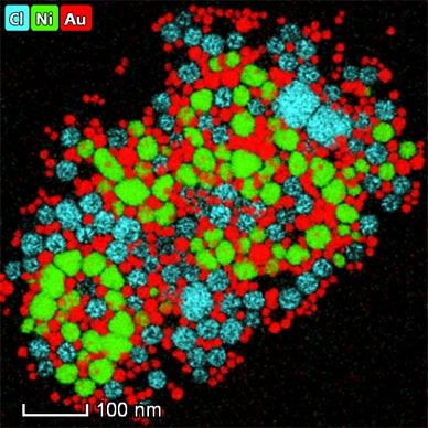 Gold-Nickel Nanoparticles - 21 Gold-Nickel Nanoparticles - 21