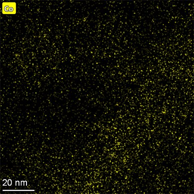 Talos-Dual-X-Image-23 Talos-Dual-X-Image-23