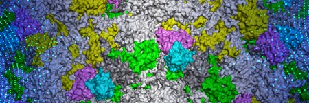 药物发明的 Accelerate 和 Advance 药物发明的 Accelerate 和 Advance