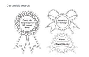 3d-cell-culture-analysis-activity-booklet-thumbnail03 3d-cell-culture-analysis-activity-booklet-thumbnail03