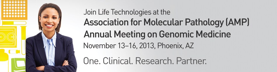 amp-2013-banner amp-2013-banner