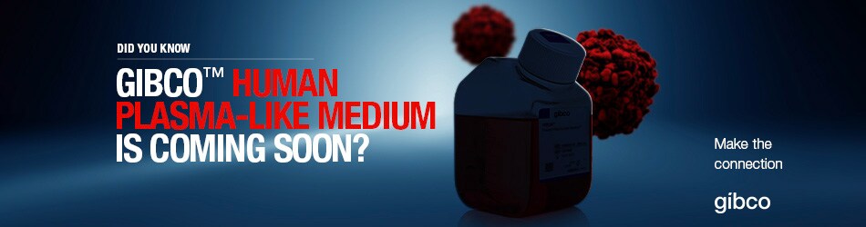 PG2151-PJT5719-COL014244-Gibco-Teaser-static-950x250-F PG2151-PJT5719-COL014244-Gibco-Teaser-static-950x250-F