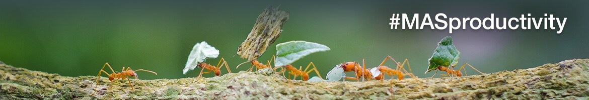 MAS™ Omni·Infectious Quality Controls MAS™ Omni·Infectious Quality Controls