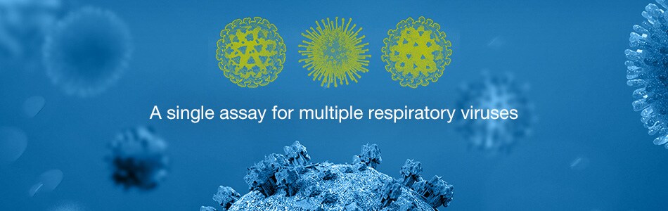 taqpath-covid-19-flu-950x300 taqpath-covid-19-flu-950x300