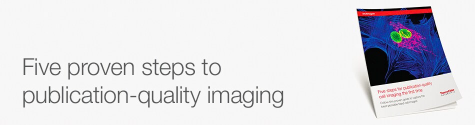 fixed-cell-imaging-brochure fixed-cell-imaging-brochure