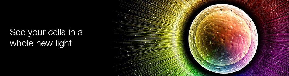 Access the ultimate compilation of protocols for flow cytometry Access the ultimate compilation of protocols for flow cytometry